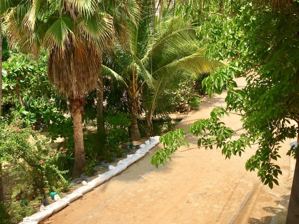 Hotel Rinconcito De Mazunte Santa María Tonameca Kültér fotó